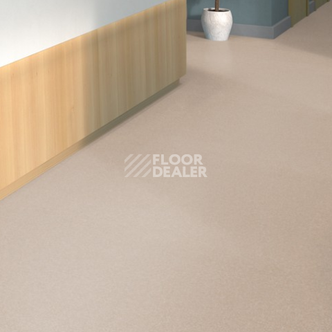 Tarkett iq Melodia 2613 фото 2 | FLOORDEALER
